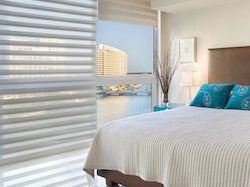 Hunter Douglas Pirouette Shades Driggs ID